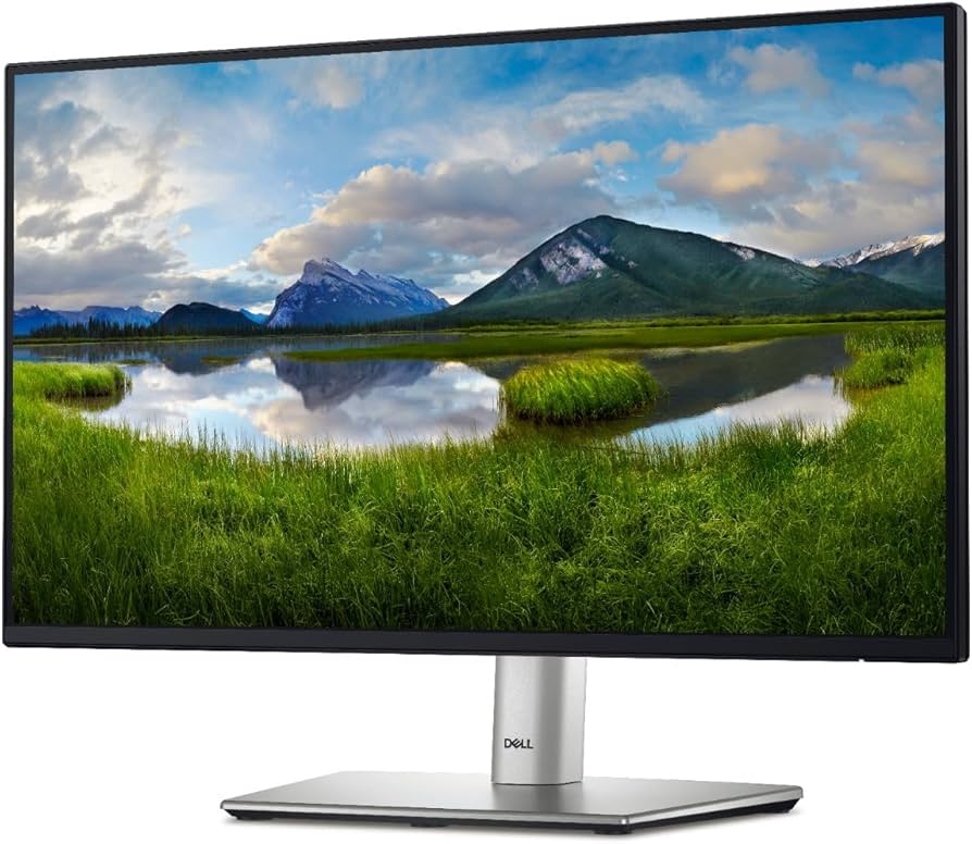 Business Grade 24" Monitor 1080P