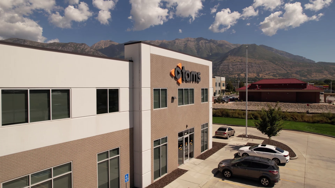 Load video: A video showcasing TAMS and some of their services